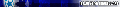 Blue Star Irregulars