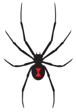 The Black Widow Company