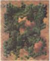 Heavy Forest #1