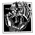 2nd Capellan Defense Force