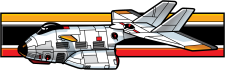 AII Insignia Patch