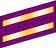 Two wide purple bands with gold inset stripes.